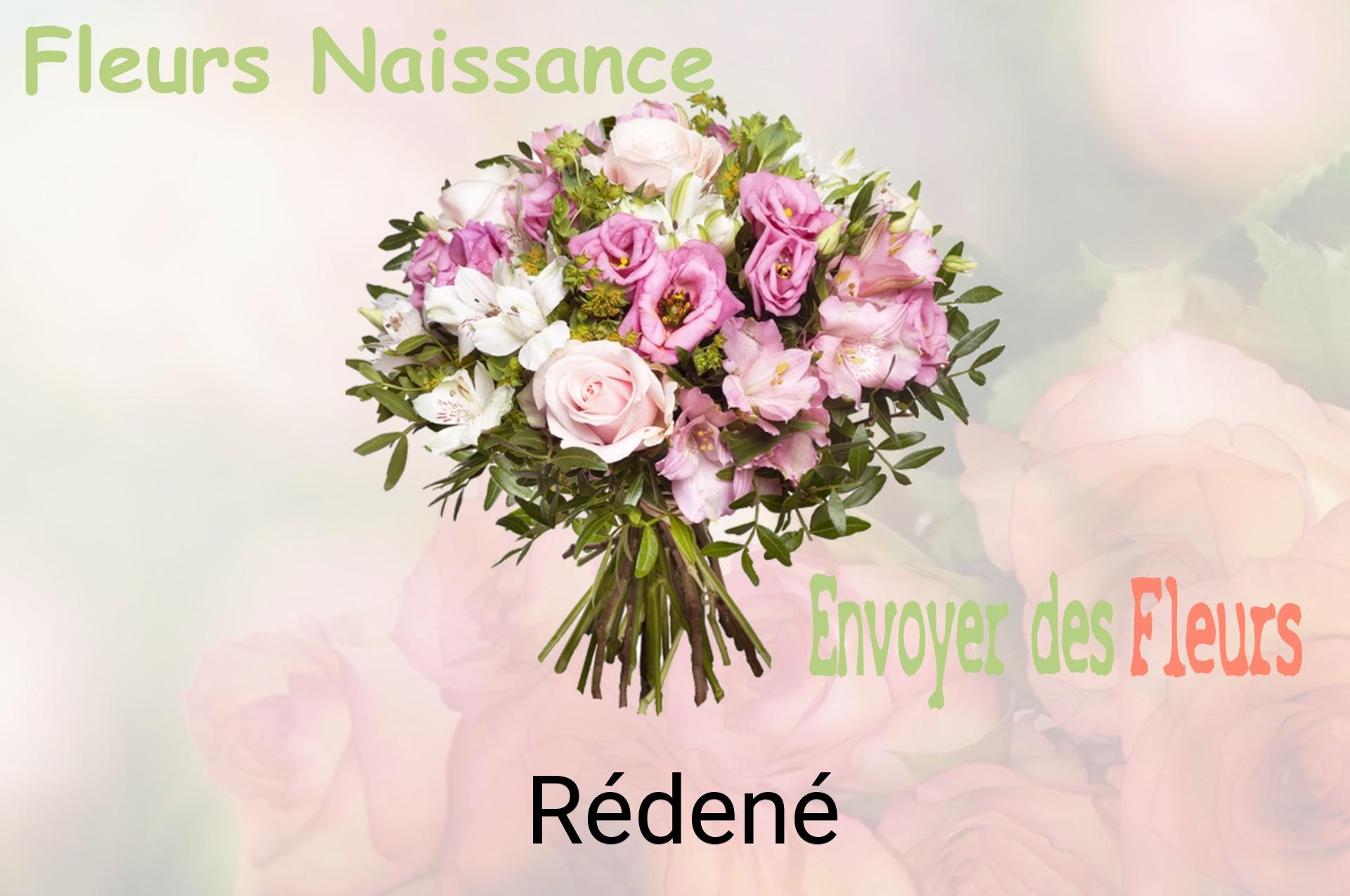 Bouquet de fleurs de naissance livré à Rédené